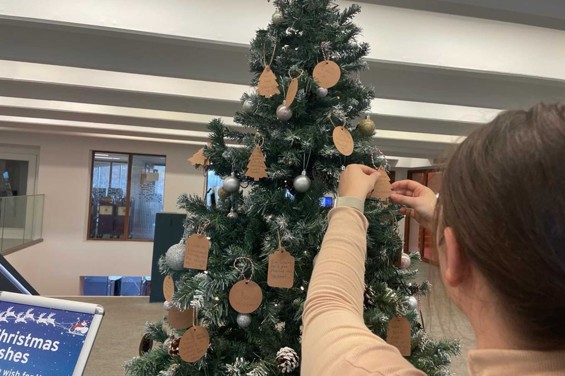 Student decorating Christmas tree